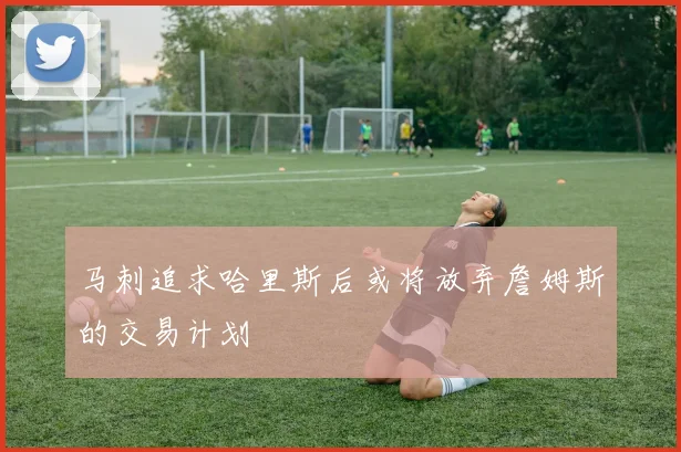 马刺追求哈里斯后或将放弃詹姆斯的交易计划