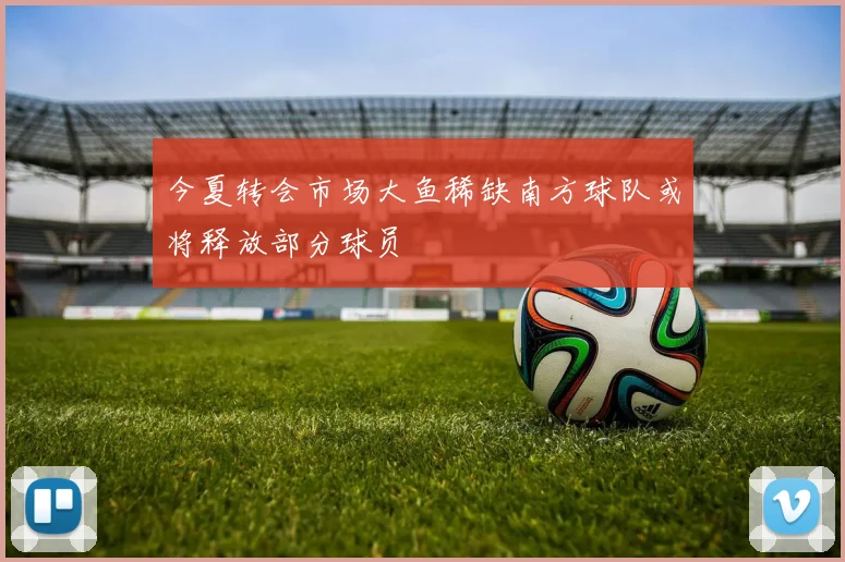 今夏转会市场大鱼稀缺南方球队或将释放部分球员